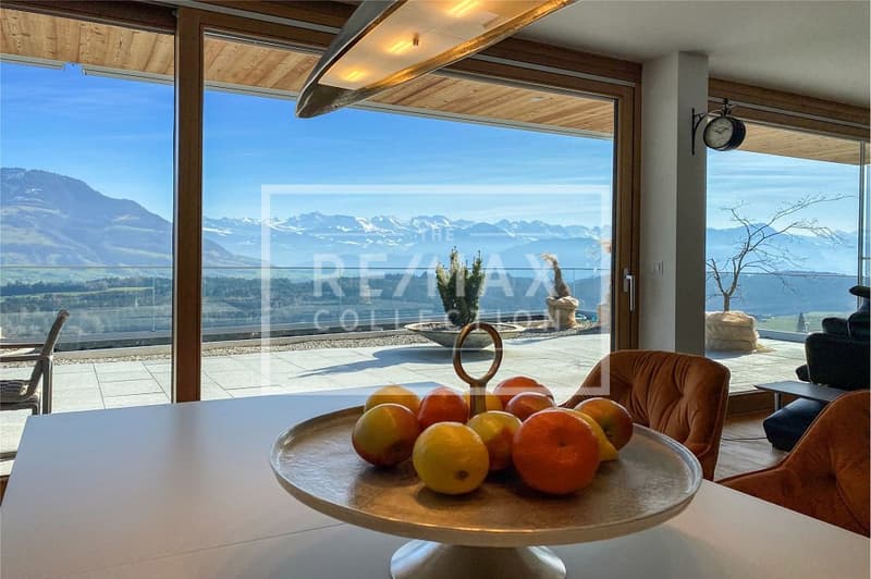 Exklusive und luxuriös möblierte Terrassenwohnung mit fantastischem Aussenbereich und Traumsicht (6)