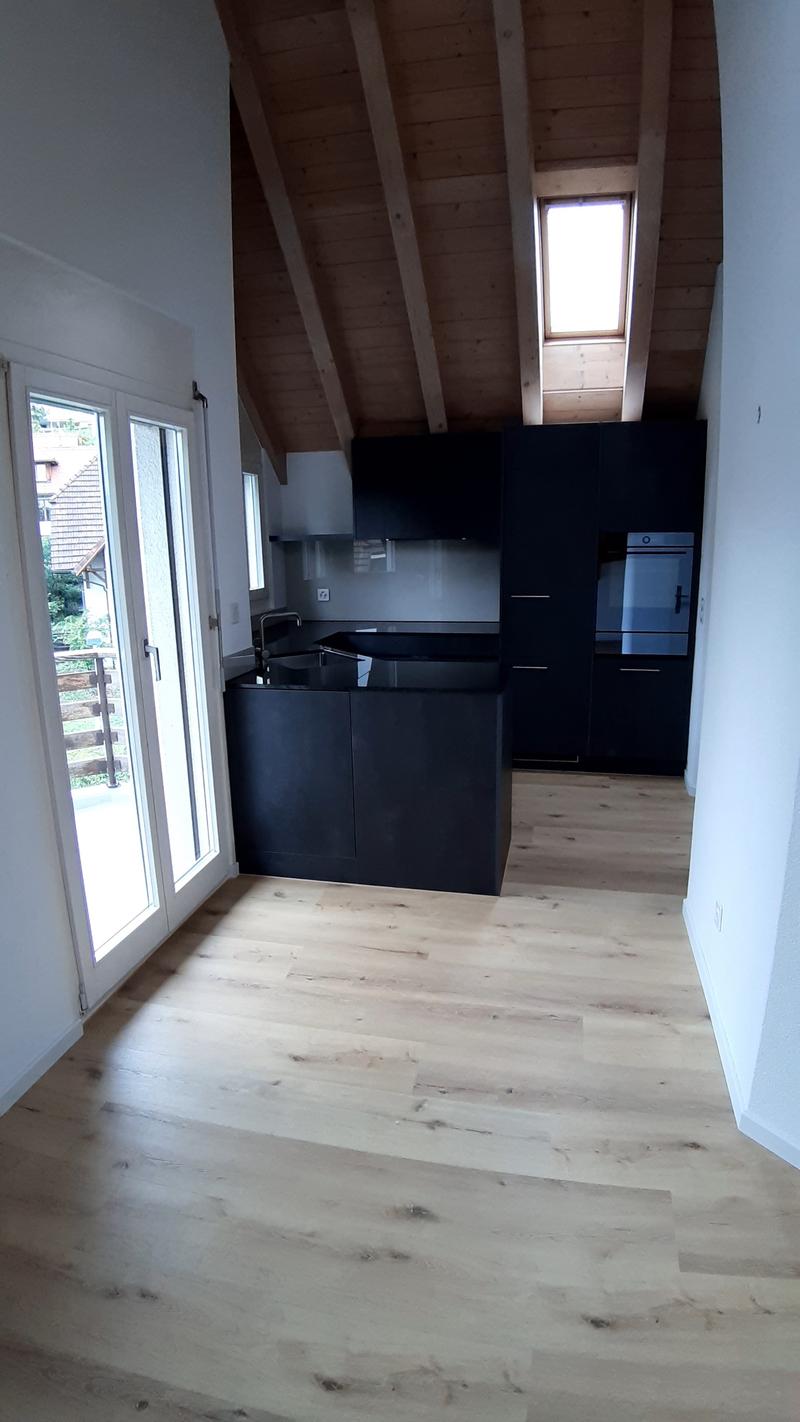 modern kitchen with wooden floor, black cabinets, glass doors, sink, oven, skylight