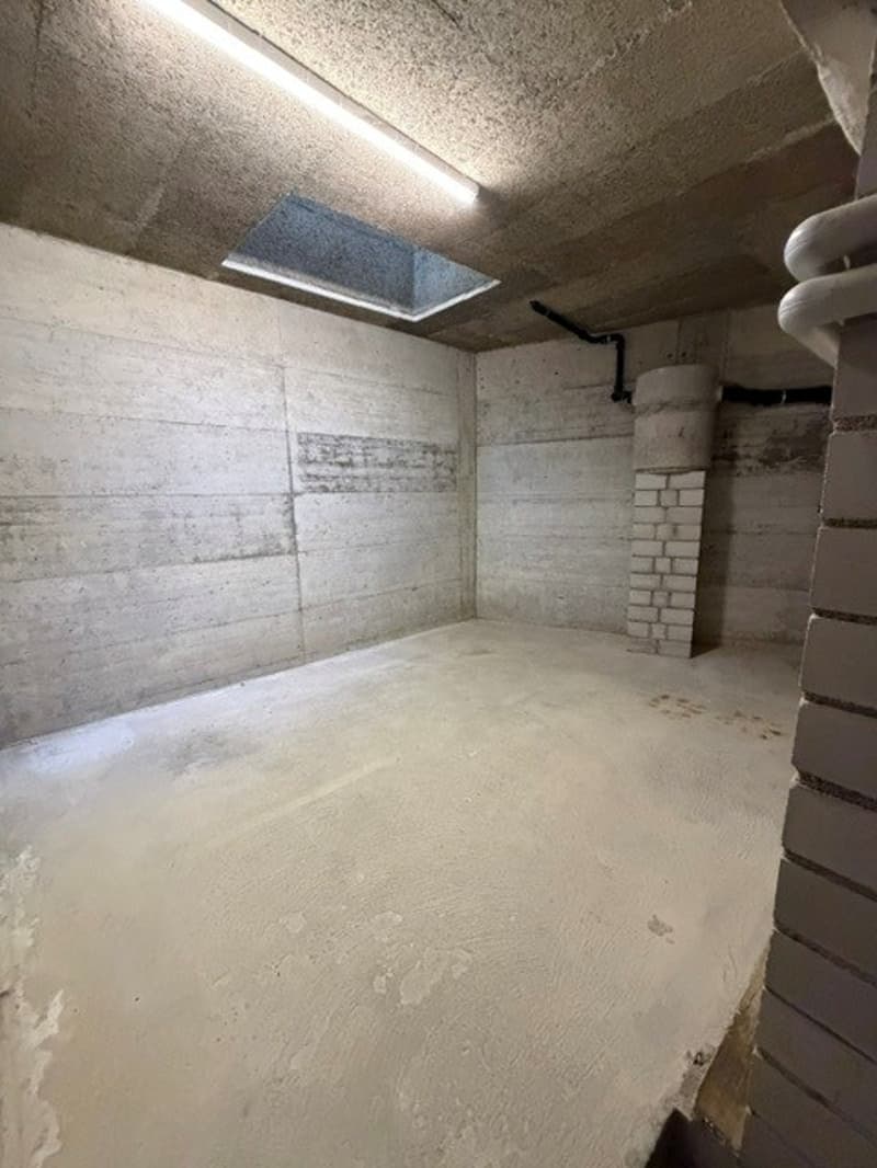 Charmantes Reiheneinfamilienhaus nähe Schaffhauserplatz (21)