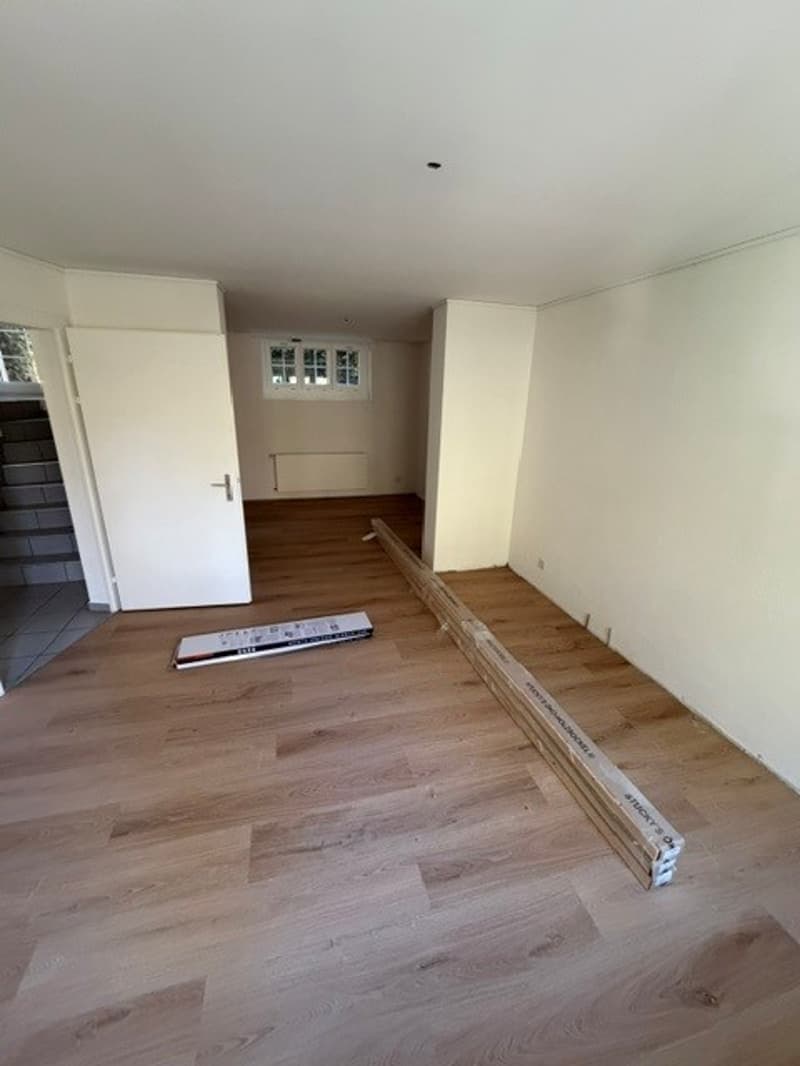 Charmantes Reiheneinfamilienhaus nähe Schaffhauserplatz (18)