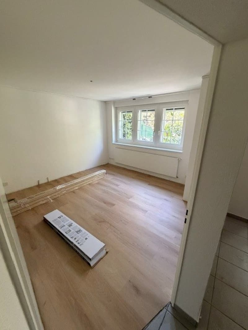 Charmantes Reiheneinfamilienhaus nähe Schaffhauserplatz (17)