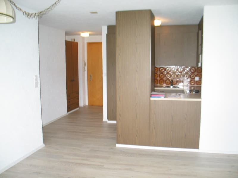 befristet bis 31.07.2027 - 2 ½-Zimmerwohnung (3)