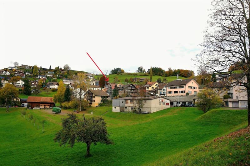 Neubau - Erstbezug / 2½-Zimmer-Gartenwohnung (11)