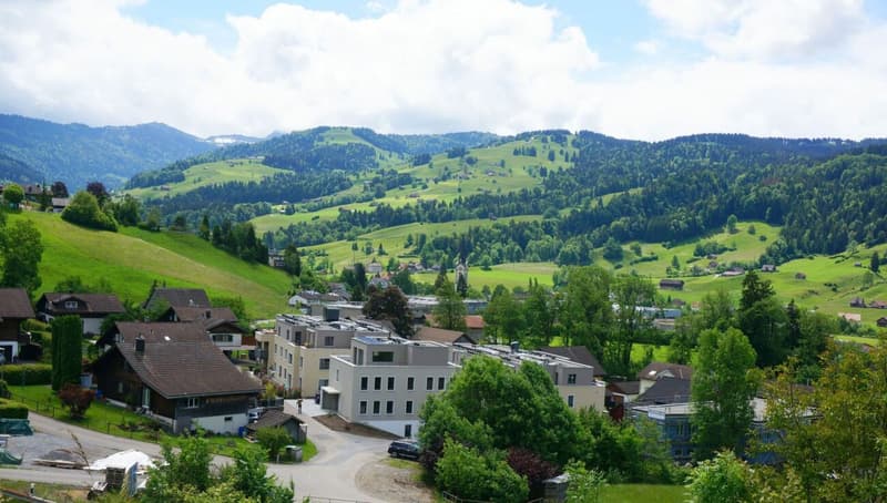 Neubau: Wohn-/Geschäftshaus - Mehrgenerationen-Haus (Minergie-P) (6)