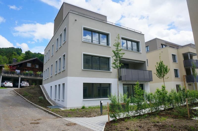 Neubau: Wohn-/Geschäftshaus - Mehrgenerationen-Haus (Minergie-P) (1)