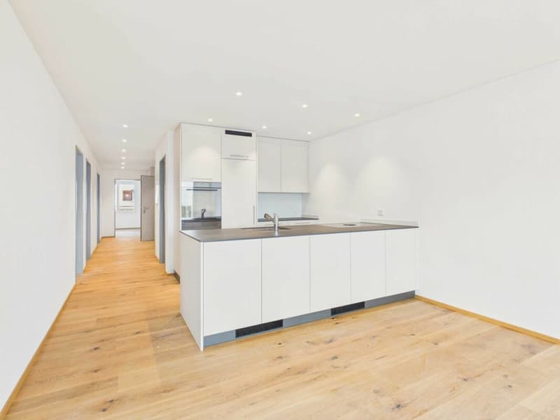 Neubau - Erstbezug / 4½-Zimmerwohnung OG1 (2)