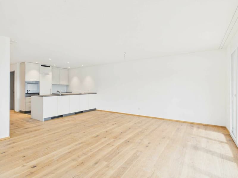 Neubau - Erstbezug / 4½-Zimmerwohnung OG1 (1)
