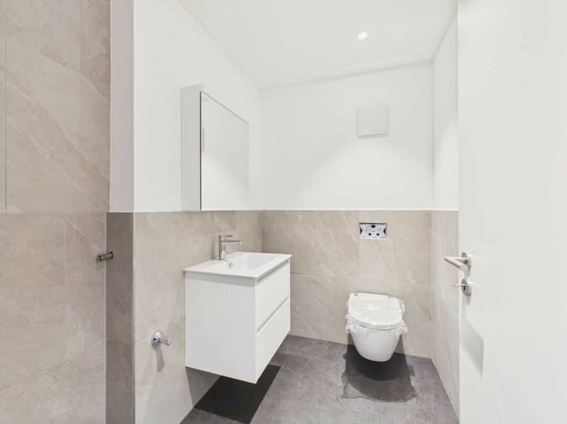 Neubau - Erstbezug / 4½-Zimmerwohnung OG1 (6)