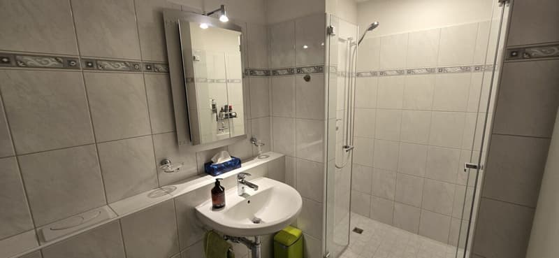 Arrival instead of furnishing - Furnished 4.5 rooms with character (13)