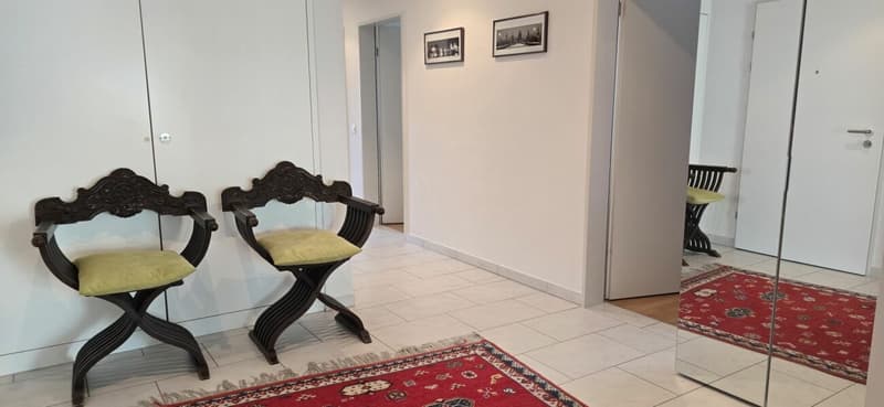 Arrival instead of furnishing - Furnished 4.5 rooms with character (15)