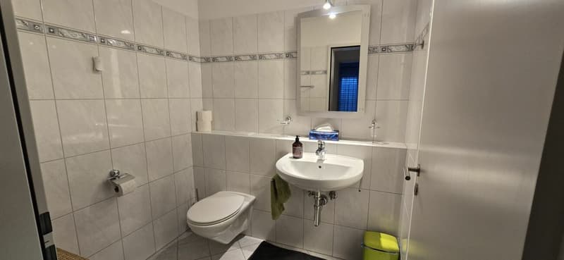 Arrival instead of furnishing - Furnished 4.5 rooms with character (12)