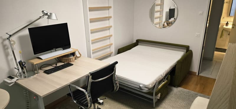 Arrival instead of furnishing - Furnished 4.5 rooms with character (10)