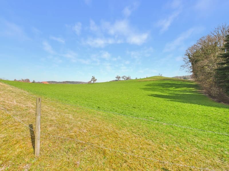 Aussicht Richtung Osten