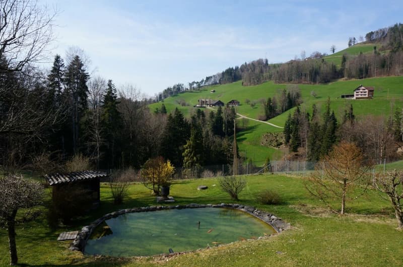 Garten mit Fischteich