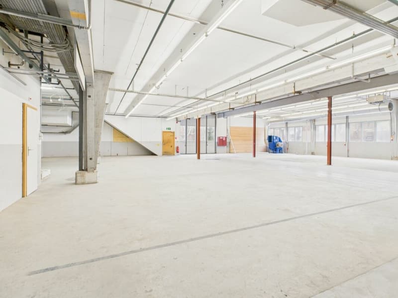 Attractive commercial space approx. 464 m2 (7)