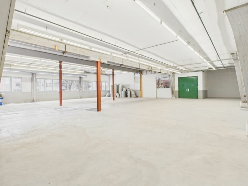Attractive commercial space approx. 464 m2 (5)