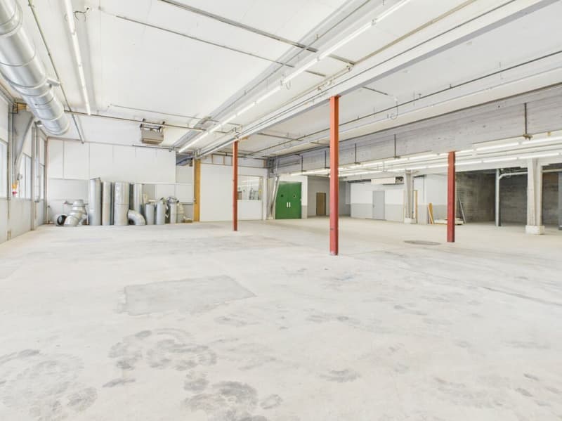 Attractive commercial space approx. 464 m2 (6)