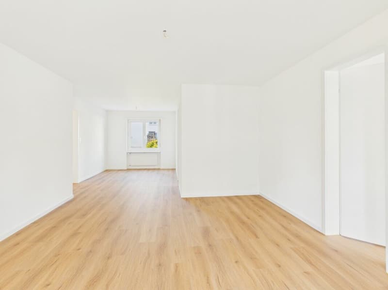 Primo occupante dopo ristrutturazione totale: Appartamento di 4,5 locali elegante con collegamento di primo ordine (6)