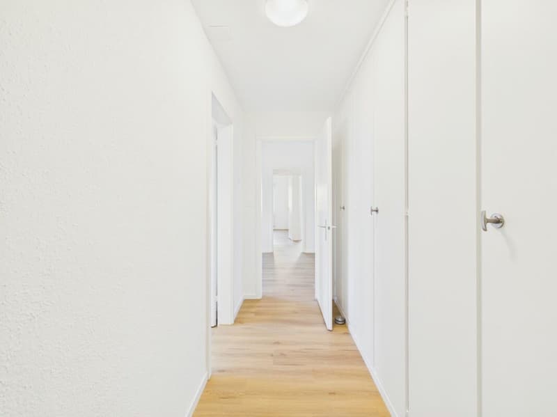 Primo occupante dopo ristrutturazione totale: Appartamento di 4,5 locali elegante con collegamento di primo ordine (4)