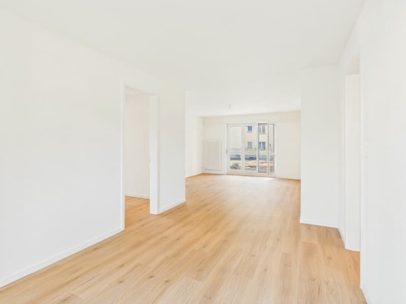Primo occupante dopo ristrutturazione totale: Appartamento di 4,5 locali elegante con collegamento di primo ordine (5)