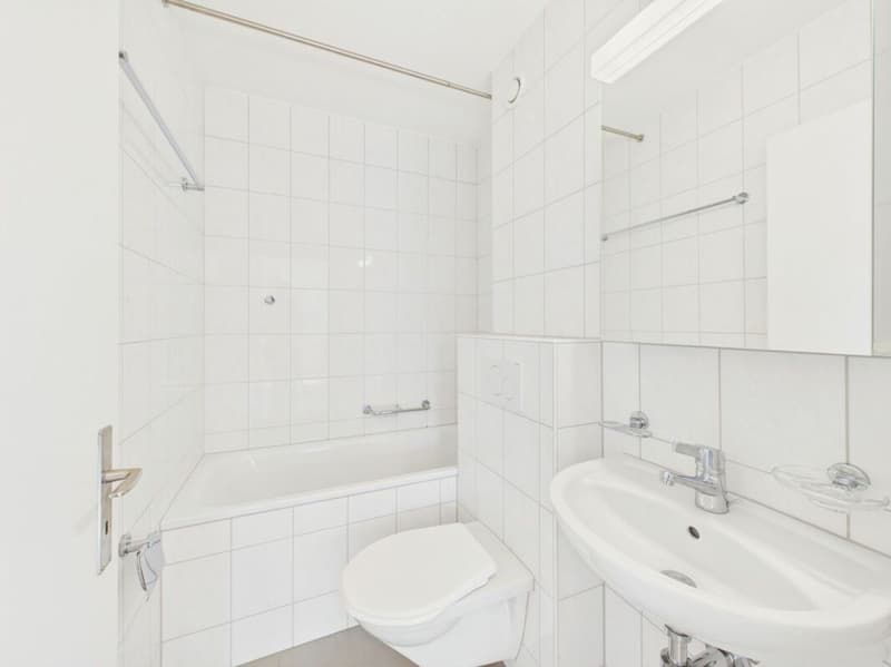 Gemütliche 2-Zimmerwohnung an zentraler Lage in St. Gallen (3)