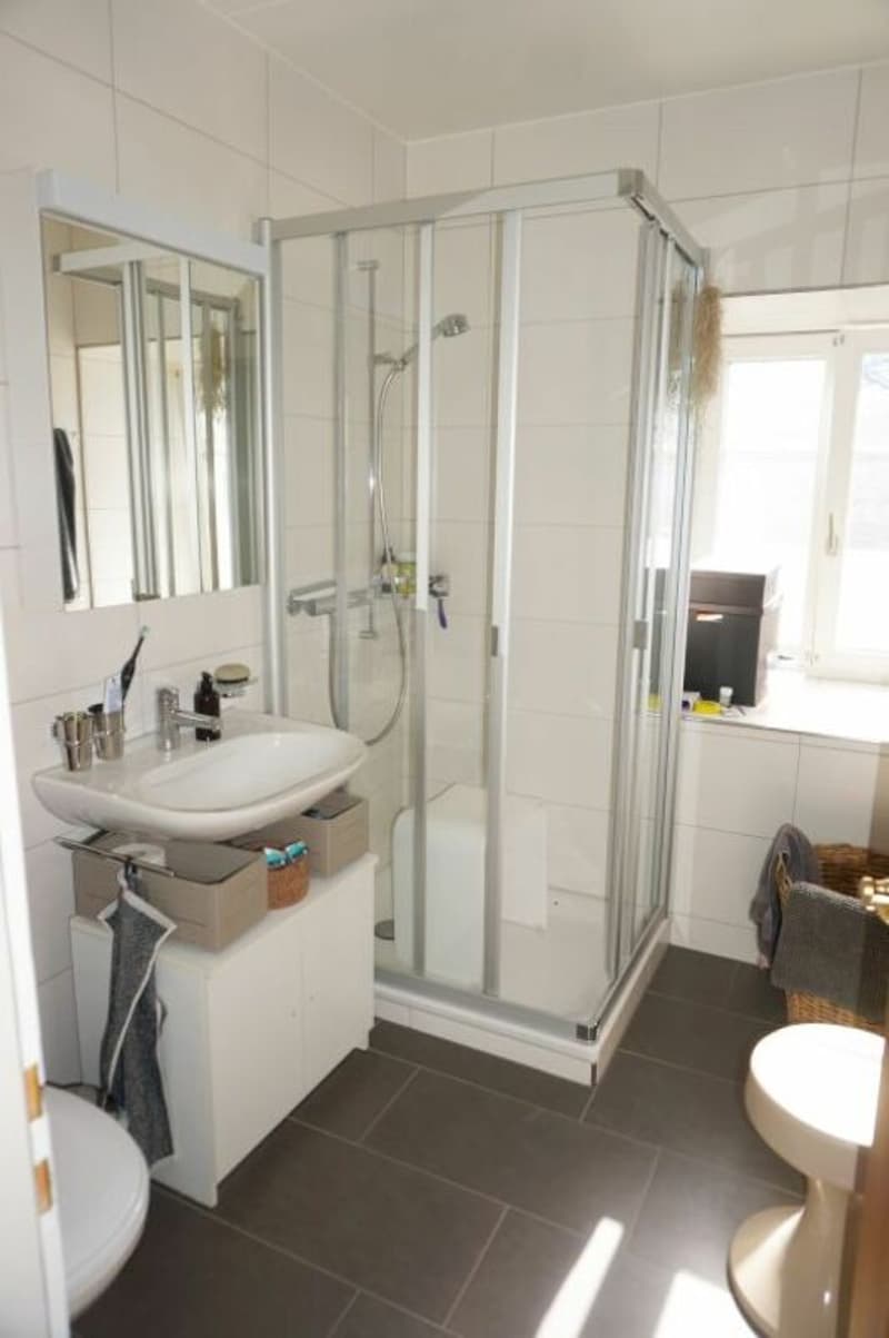 2.5-ZI.-Wohnung OG3 / Dusche-WC