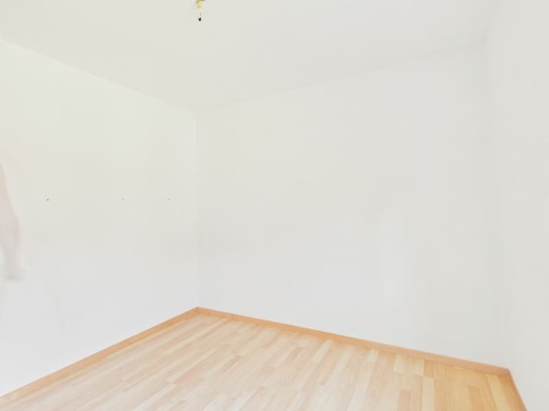 renovierte 3½-Zimmerwohnung mit Sitzplatz! (4)