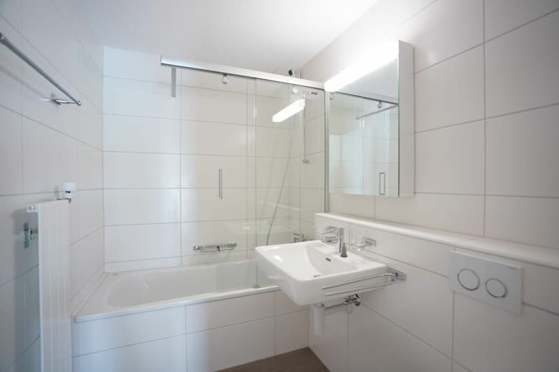 1-Zimmerwohnung mit grossem Balkon (2)