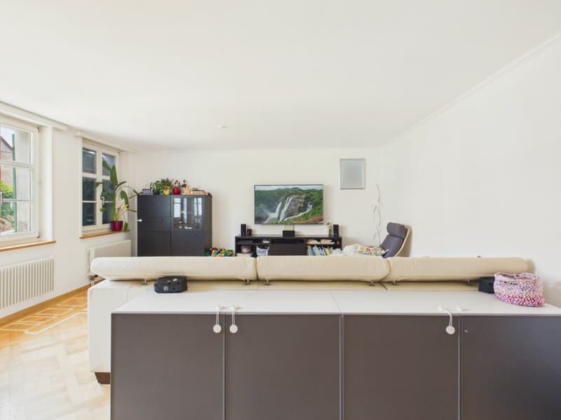 Grosszügiges Wohnzimmer