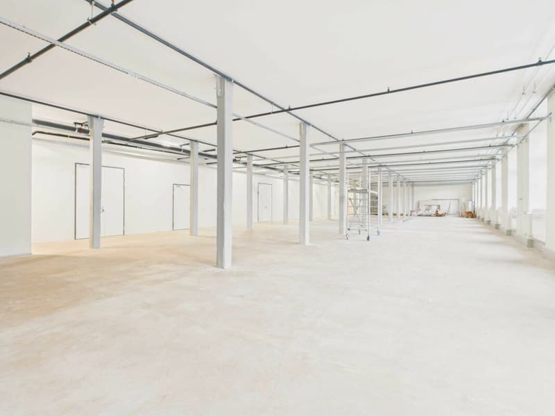 Flexible Gewerbeflächen in modernem Gewerbehaus mit exklusivem Rohausbau (3)