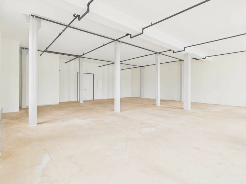 Flexible Gewerbeflächen in modernem Gewerbehaus mit exklusivem Rohausbau (4)