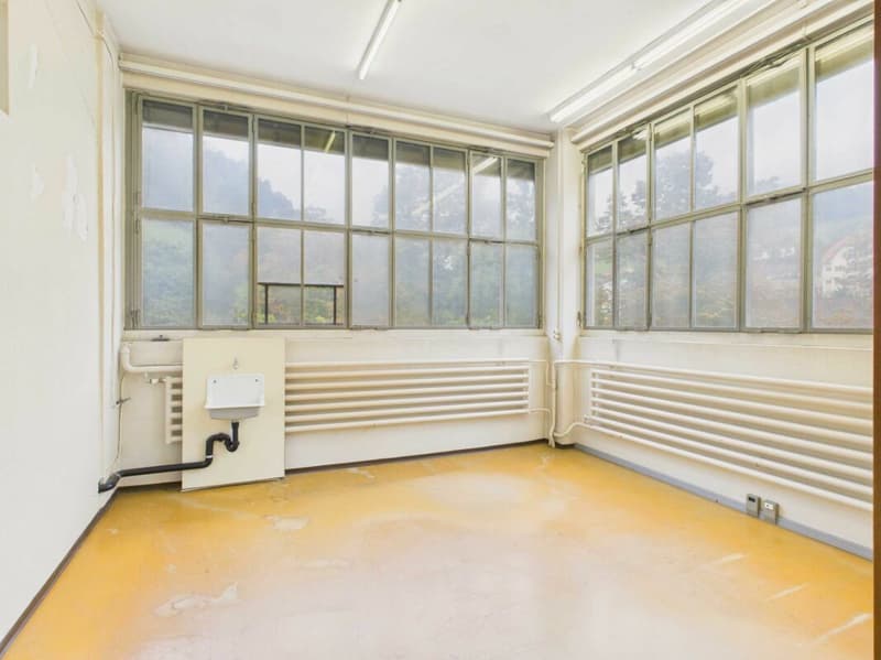 465 m² Gewerbe-, Lager- oder Atelierfläche (7)