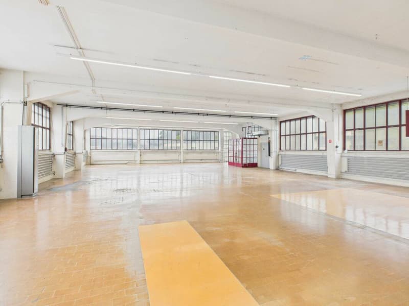 465 m² Gewerbe-, Lager- oder Atelierfläche (4)