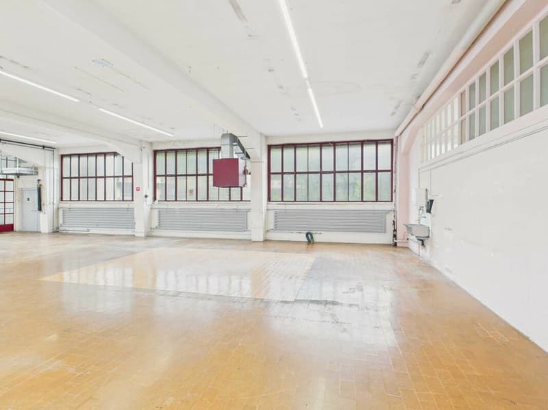 465 m² Gewerbe-, Lager- oder Atelierfläche (6)