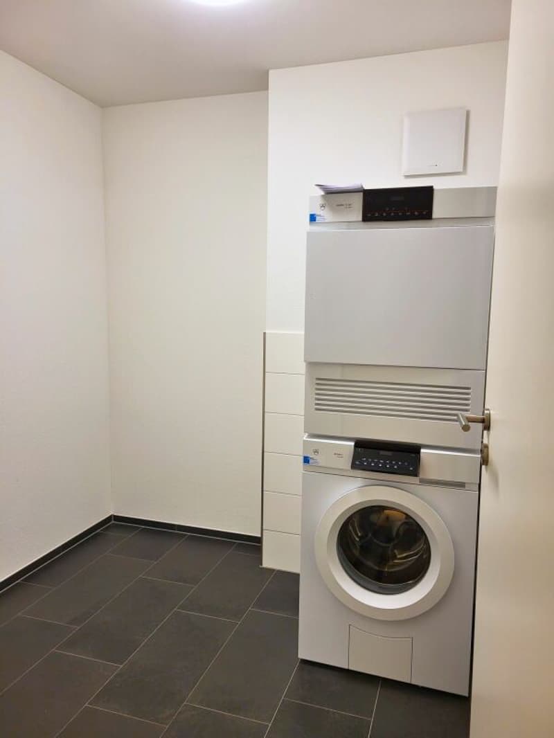 Waschmaschine / Tumbler