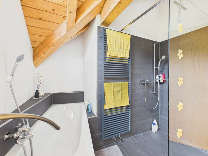 Bad / Dusche / WC Dachgeschoss