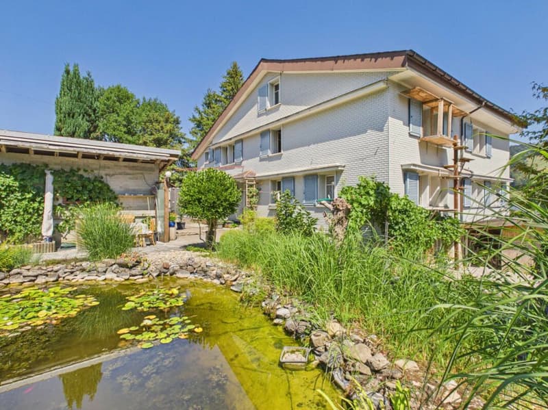 Wohnhaus mit grossem Biotop, Garage und zwei Mehrzweckgebäuden (1)