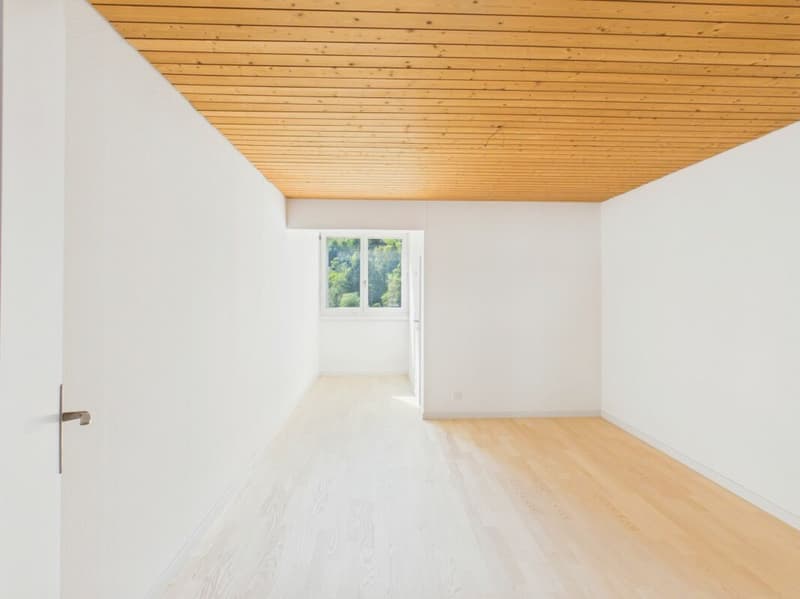 Grosszügige Schlaf-/Arbeitszimmer