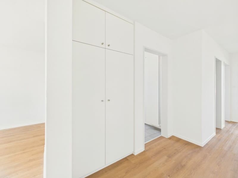 einzigartige Attikawohnung in Zuzwil (11)