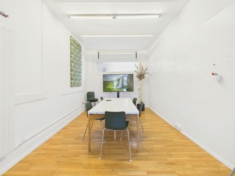 Grosszügiges Loft mit Wohn- und Gewerbenutzung im Herzen von Wil (6)