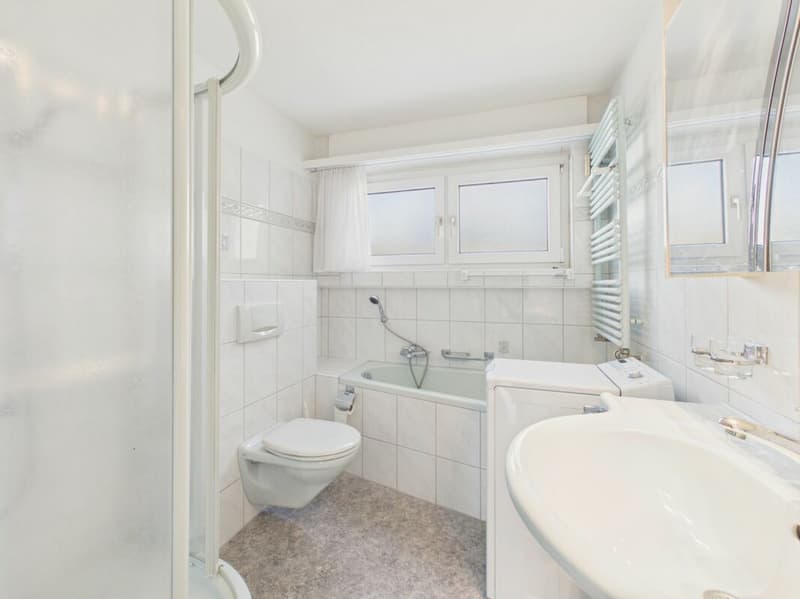 2.5-Zimmer-Attika-Wohnung mit wunderbarer Weitsicht (6)