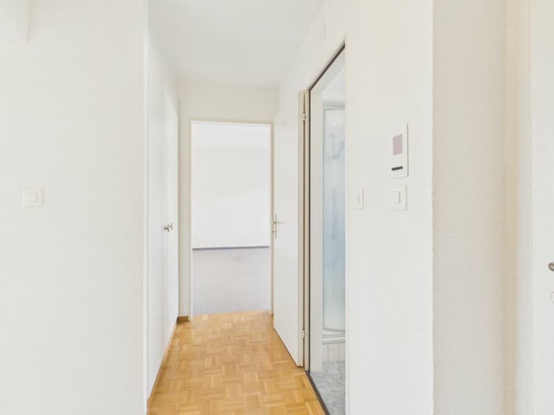 2.5-Zimmer-Attika-Wohnung mit wunderbarer Weitsicht (10)