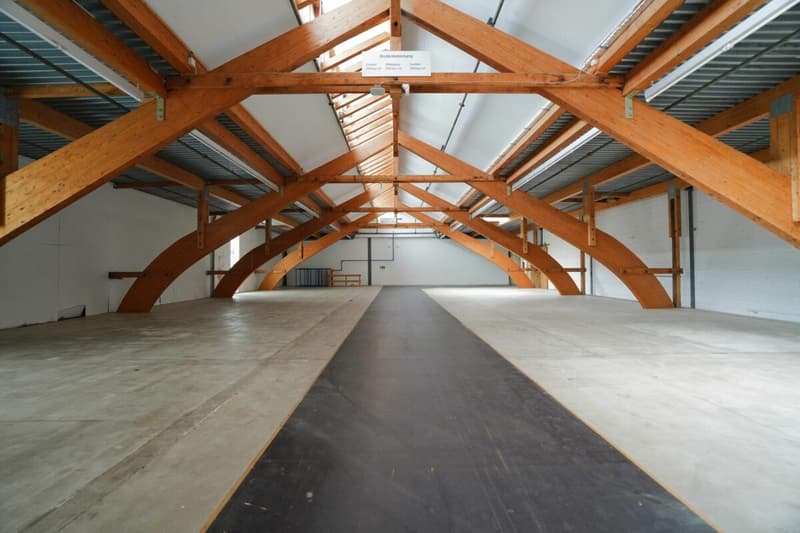 Universelle Gewerbe-/Lager- sowie Ausstellungsflächen (2)