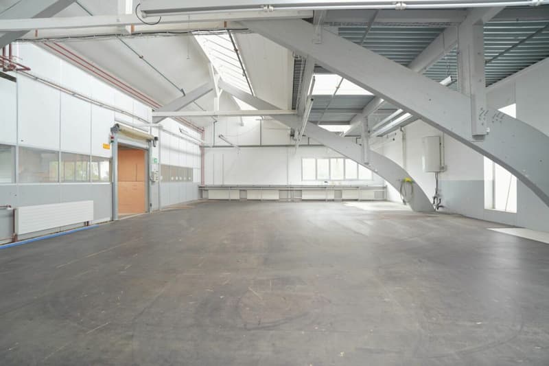 Universelle Gewerbe-/Lager- sowie Ausstellungsflächen (3)