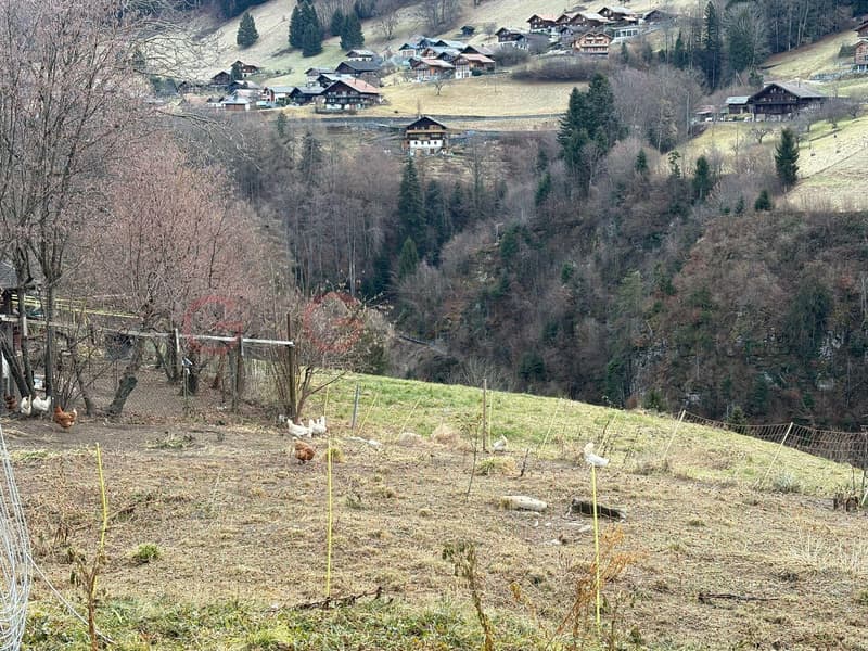 CHALET - POSSIBILITE IMMEUBLE DE RENDEMENT (4)