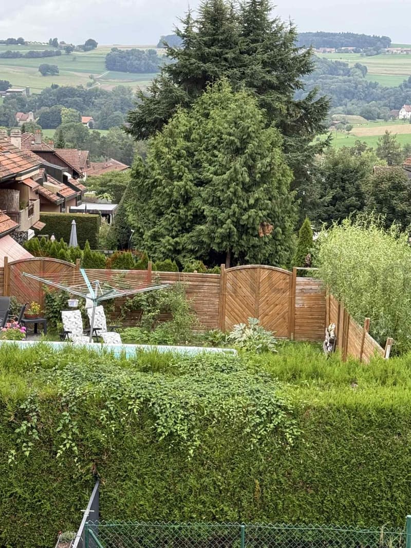 Moitié d'immeuble à vendre à Lucens (4)