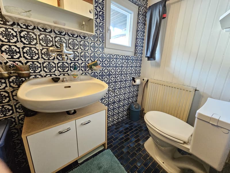 Magnifique appartement rénové (8)