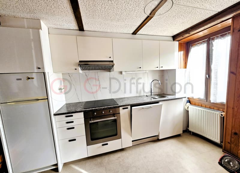 Magnifique appartement rénové (6)