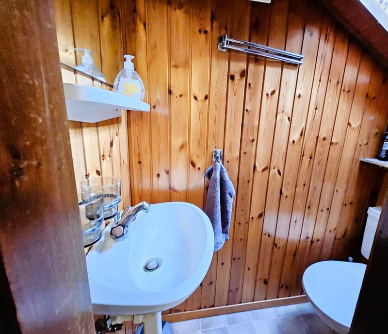 Magnifique appartement rénové (11)