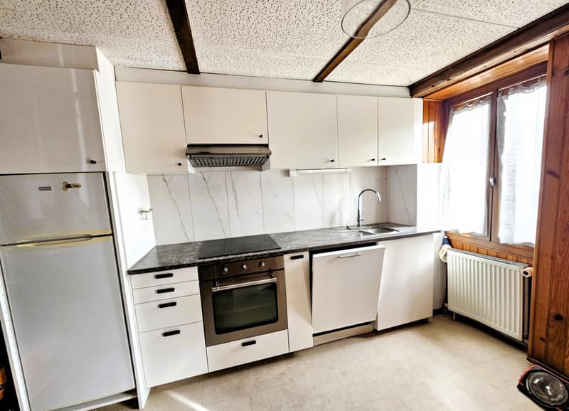 Magnifique appartement rénové (6)